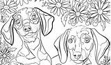 Coloring Pages Depression Dog Great Adults Stress Destress Getcolorings Getdrawings Destressing Colorings Animal Printable sketch template