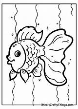 Goldfish Iheartcraftythings sketch template