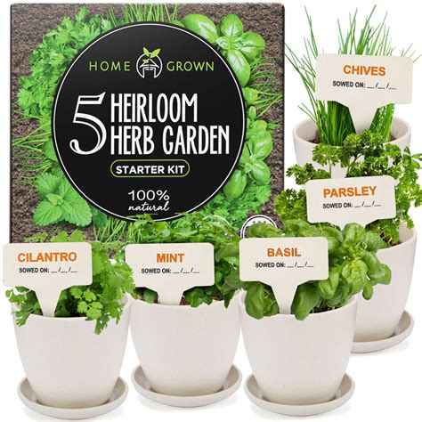 buy indoor garden starter kit  grow kit wpots soil diy heirloom
