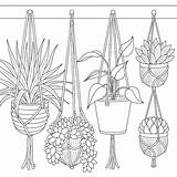 Colouring Plant Drawing Drawings Hang Printable sketch template