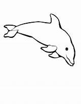Dolphin Coloring Pages Baby Cute Clipart Dolphins Choo Cliparts Train Bowling Mermaid Library Template Presentations Projects Websites Reports Powerpoint Use sketch template