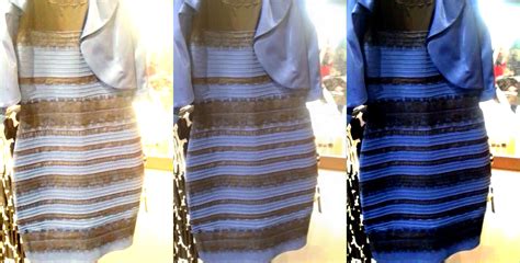 Be Dialectical The Dress Is Both Black And Blue And White And Gold