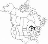 Map Canada Coloring North America Pages Usa Colouring Vietnam United States Outline Drawing Getdrawings Getcolorings Development Color Printable Colorings sketch template