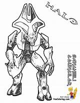 Halo Covenant Printables Getdrawings Yescoloring Spartan sketch template