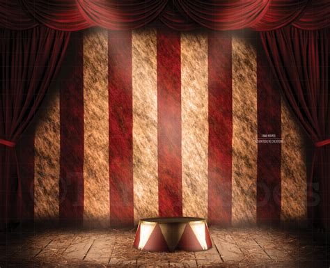 circus digital backdrop circus stage  lion stand digital etsy