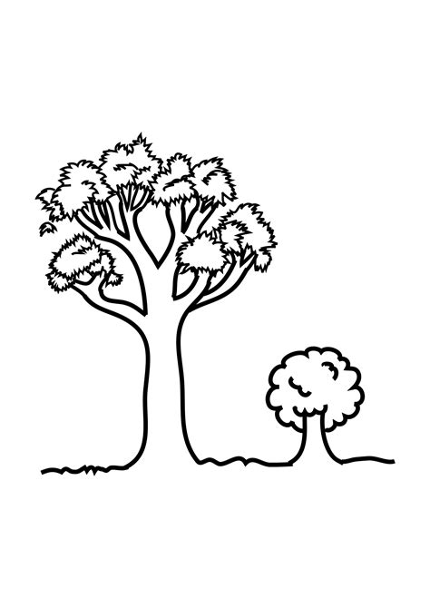 printable tree coloring page