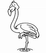 Flamingo Kolorowanki Flaming Flamingos Herz Bestcoloringpagesforkids sketch template