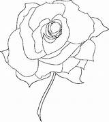 Rose Dying Drawing Getdrawings Sonic Underground Coloring sketch template