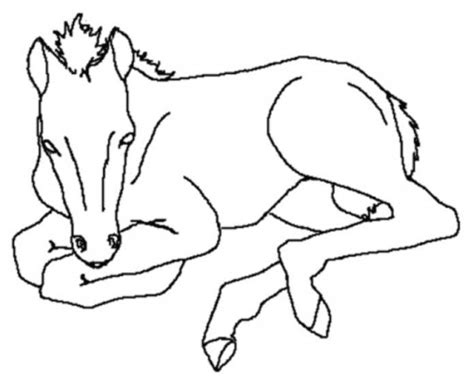 coloring pages horse coloring pages   printable