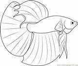 Fish Betta Coloring Pages Fighting Drawing Siamese Pdf Printable Template Getdrawings Kids Color Getcolorings Print Fishes sketch template