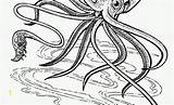 Coloring Pages Cuttlefish Squid Witch Inspirational Lovely Fresh Divyajanani sketch template