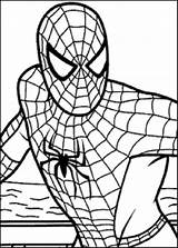 Colorir Aranha Homem Desenhos sketch template