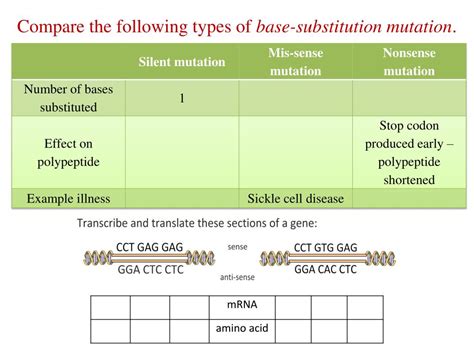Ppt Mutations Powerpoint Presentation Free Download Id 1466319