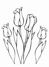Lente Kleurplaat Fleur Coloriage Tulipe Kleurplaten Coloriages Stemmen sketch template
