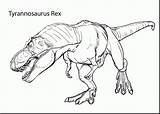 Rex Jurassic Coloring Pages Bubakids Thousand Regards Through sketch template