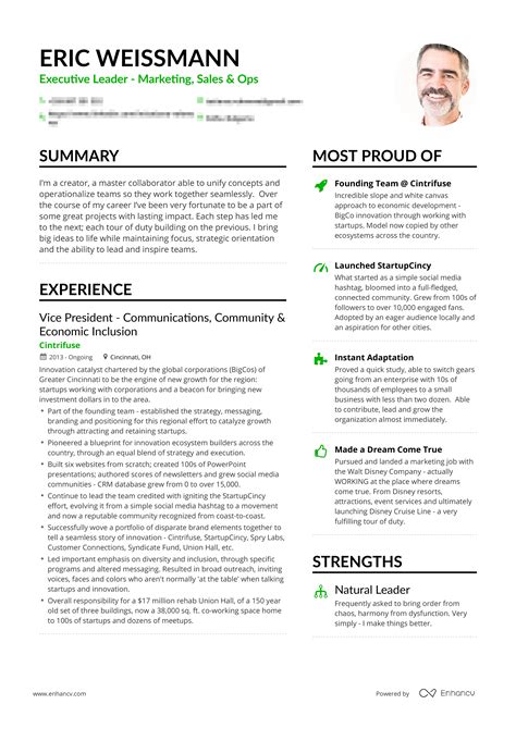 successful resume entrepreneur enhancv