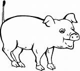 Coloring Pig Pages Porc Pigs Dessin Animated Cochon Coloriage Do Animal sketch template