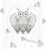 Zentangle Owls Stylized Trunk Uil sketch template