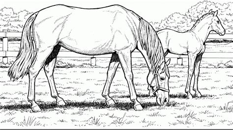 horse jumping coloring pages horse choices