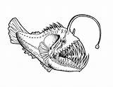 Angler Drawing Anglerfish Pez Anglerfisch Peces Drawings Abisal Monstruos Marinos Kunst อก บ อร นท öffnen Freecoloringpages Fisch เล จาก sketch template