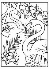 Flamingos Coloring Flowers Iheartcraftythings sketch template