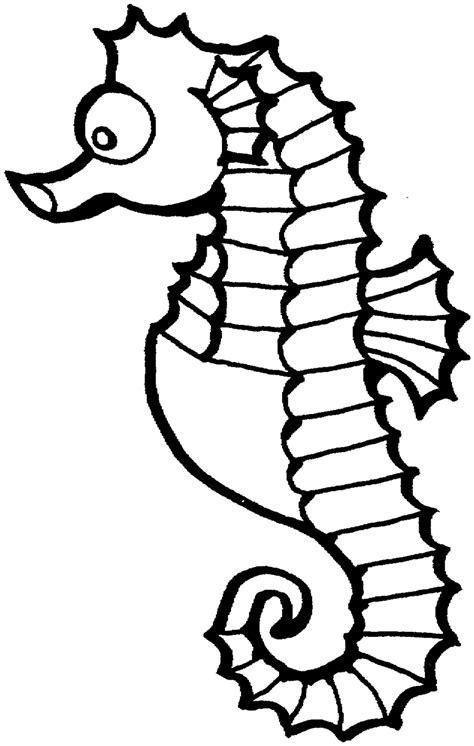 seahorse outline template clipart