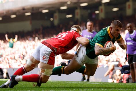 wales  south africa  rugby result  reaction  world cup