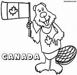 Flag Coloring Canadian Pages Canada Colorings Print Getdrawings Drawing sketch template