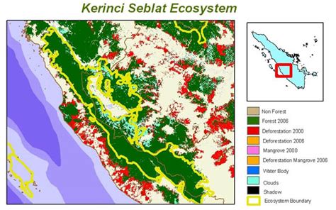 Kerinci Seblat Ecosystem Tfca Sumatera
