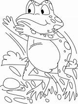 Frog Coloring Pages Kids Frogs Drawing Tree Forget Supplies Don Print Getdrawings sketch template