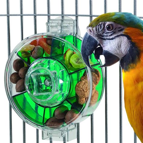 caitec parrot toys large foraging wheel tough durable bite resistant suitable  medium
