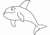 Orca Killerwal Ausmalbilder Killer Ballena Dibujo Ausmalbild Ausdrucken Kinderbilder Davemelillo sketch template