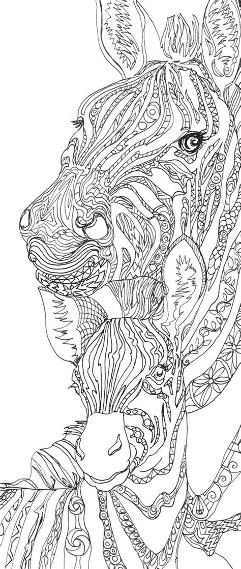zebra coloring pages  adults amanda gregorys coloring pages