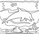 Dolphin Pages Coloring Easy Pink Drawing Getdrawings Getcolorings Color Direct sketch template