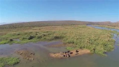 game reserve  aerial experience youtube