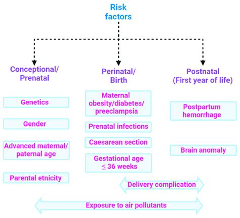 risk factors   asd asd   multifactorial condition  scientific diagram