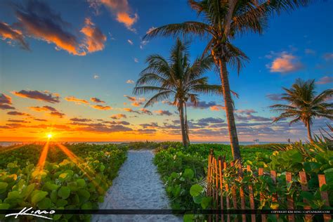 delray beach product categories royal stock photo page