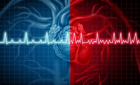 heart rates understanding  heart rate chart    normal pulse