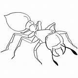 Ant Coloring Pages Bullet Drawing Colouring Line Bee Sheet Print Coloringbay Getdrawings Cattle sketch template