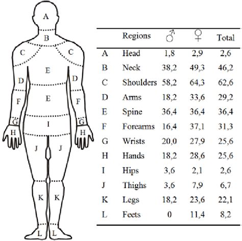 Human Body Diagram With The Identification Of Pain Discomfort Regions