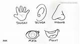 Hidung Paud Mewarnai Mulut Tubuh Anggota Telinga Tangan Kaki Bagian Kepala Menggambar Ikuti Jakbar Lomba sketch template