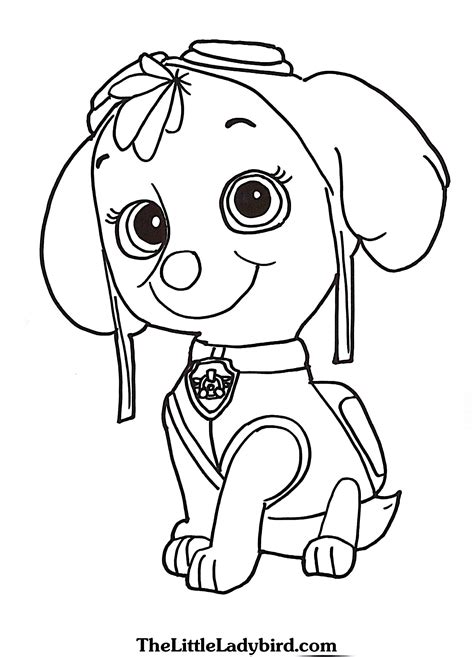 creative picture   paw patrol coloring pages