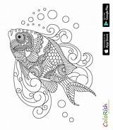 Coloring sketch template