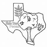Tree Pecan Coloring Texas Clipart Pages State Delia Color Clip Cliparts Sheets Drawing Texasbob Colouring Clipartbest Clipground Library Bob Comments sketch template
