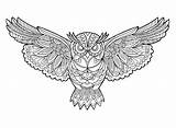 Mandala Vector Owl Coloring Kolorowanki Adults Book Zentangle Animal Stock Sowa раскраски совой Rysuje Ja Tatuaż Pomysły Na Ornate Catcher sketch template