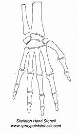 Esqueleto Outline Skelaton Tatuaje Missing Turned Squelette Carving Costumes Sharpie Cricut Freecodesource sketch template