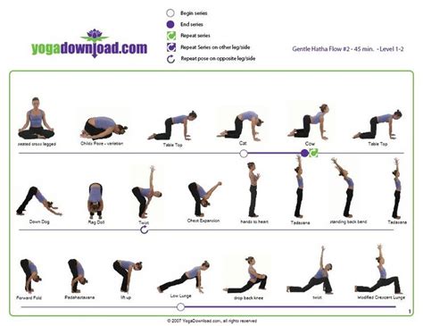 hatha yoga socialphy basic yoga poses