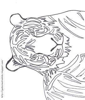 ray chills world tiger coloring page  rachel