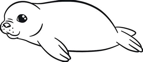 baby seal drawing    clipartmag