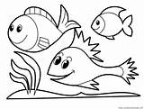 Coloring Fish Preschool Pages Popular Animal sketch template